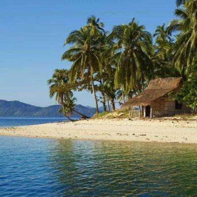 动漫明星曲棍球赛